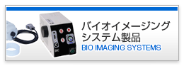 BIO IMAGING SYSTEMS